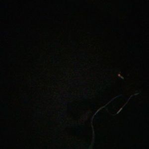 Meet your Posher, Martin